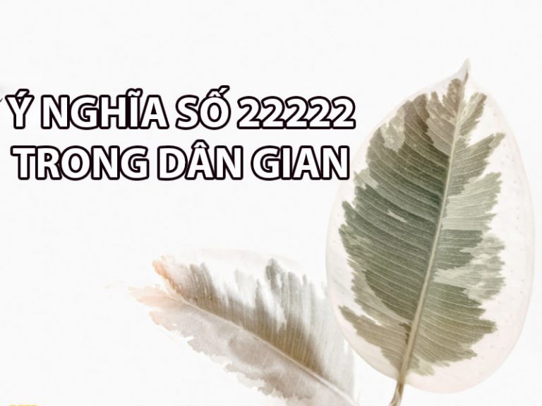 Ý nghĩa số 22222 là gì? Hướng dẫn cách chọn sim số đẹp đuôi 22222